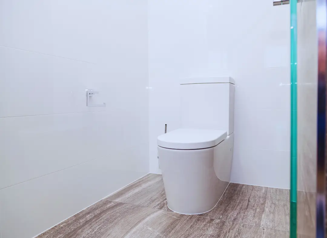 Remplacement de wc Saint-Paul-de-Vence